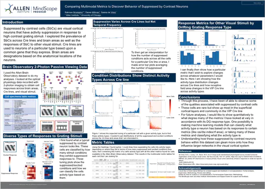 Analysis of Suppressed by Contrast Cells in Mouse Visual Cortex